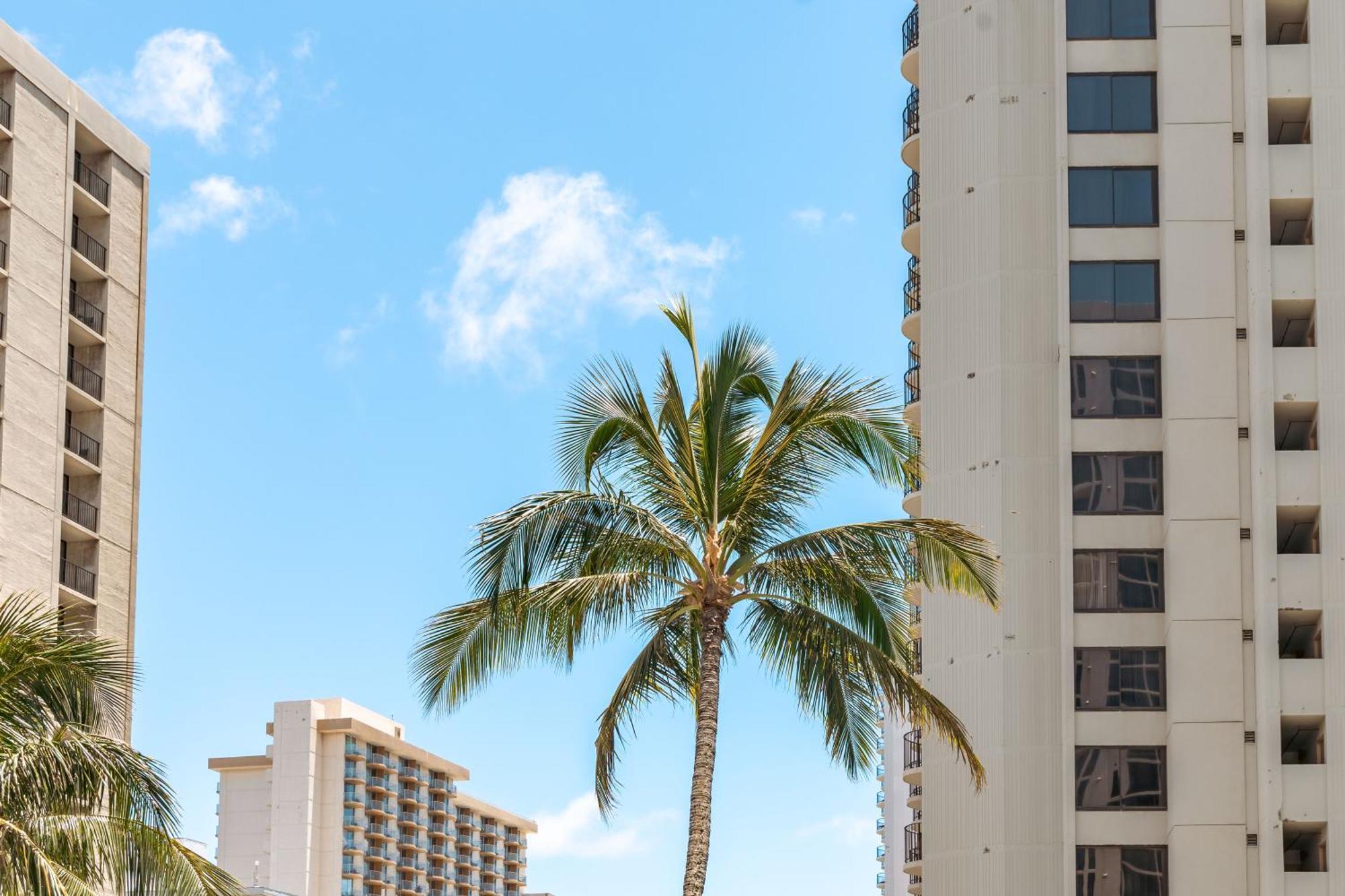 Waikiki Escapade Mountain Views Condo, Steps To Beach With Parking Perk Honolulu Exterior foto